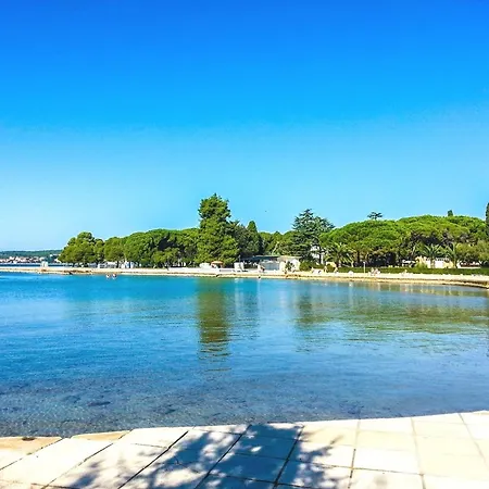Liburnum